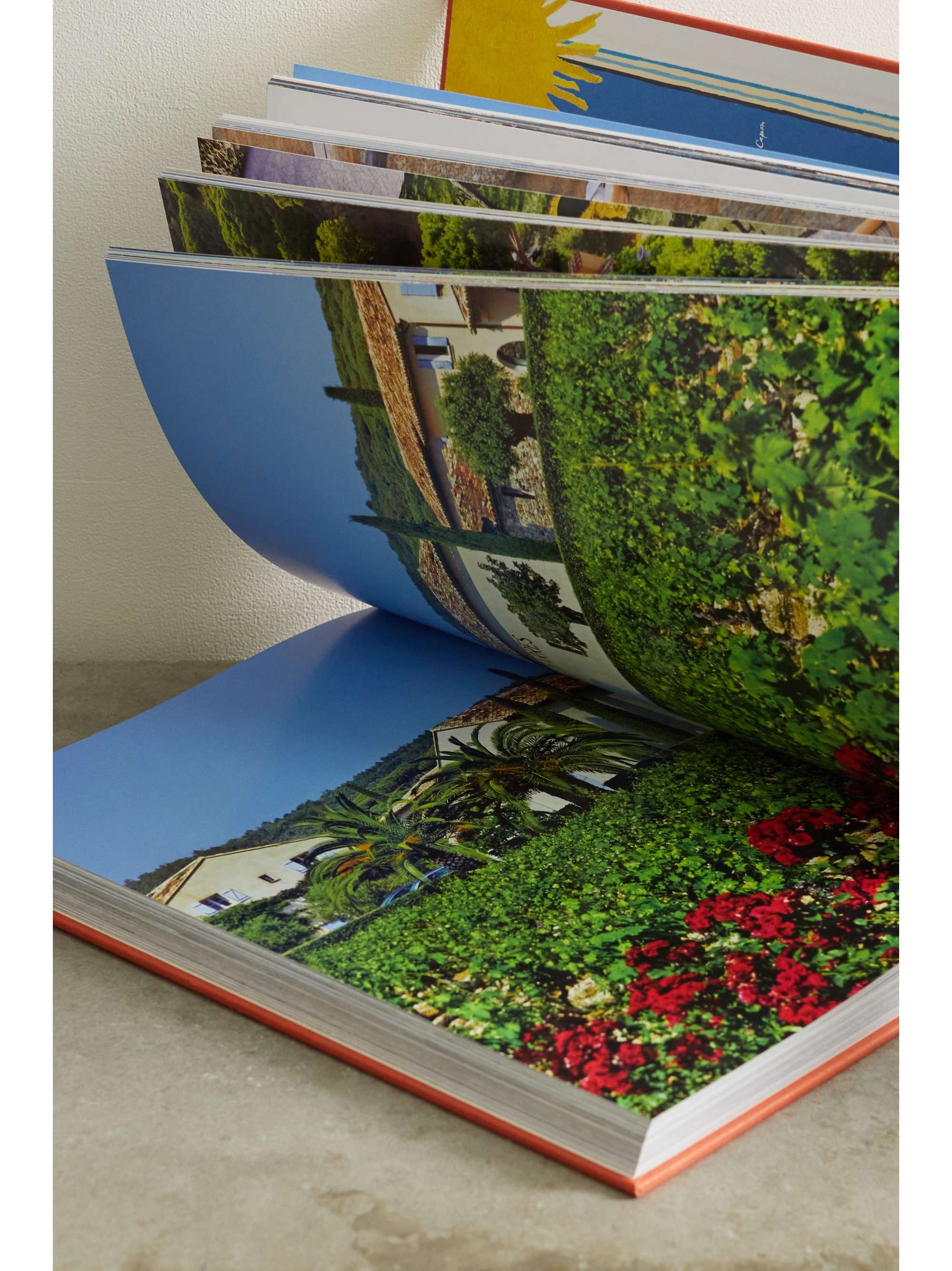 ASSOULINE Palm Beach by Aerin Lauder hardcover book