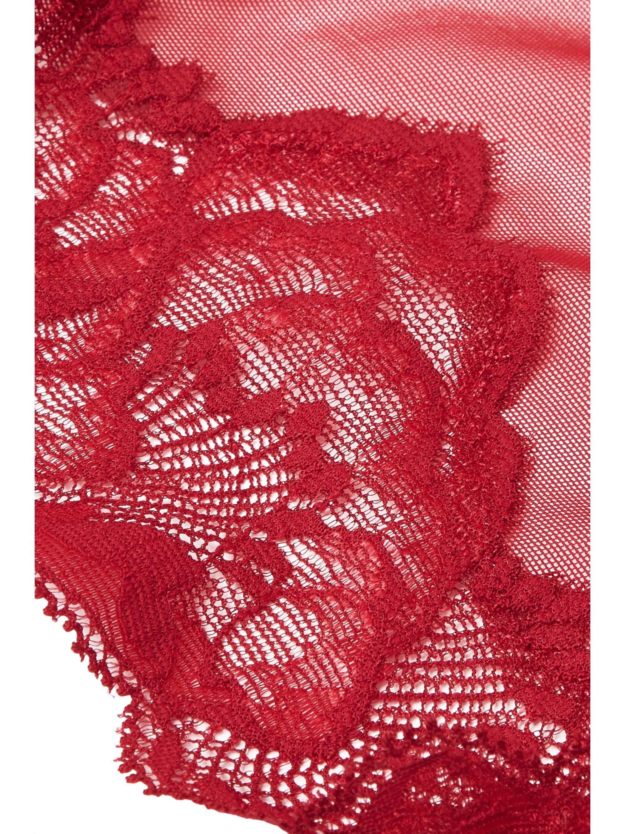 CHANTELLE Orangerie stretch-lace and tulle briefs