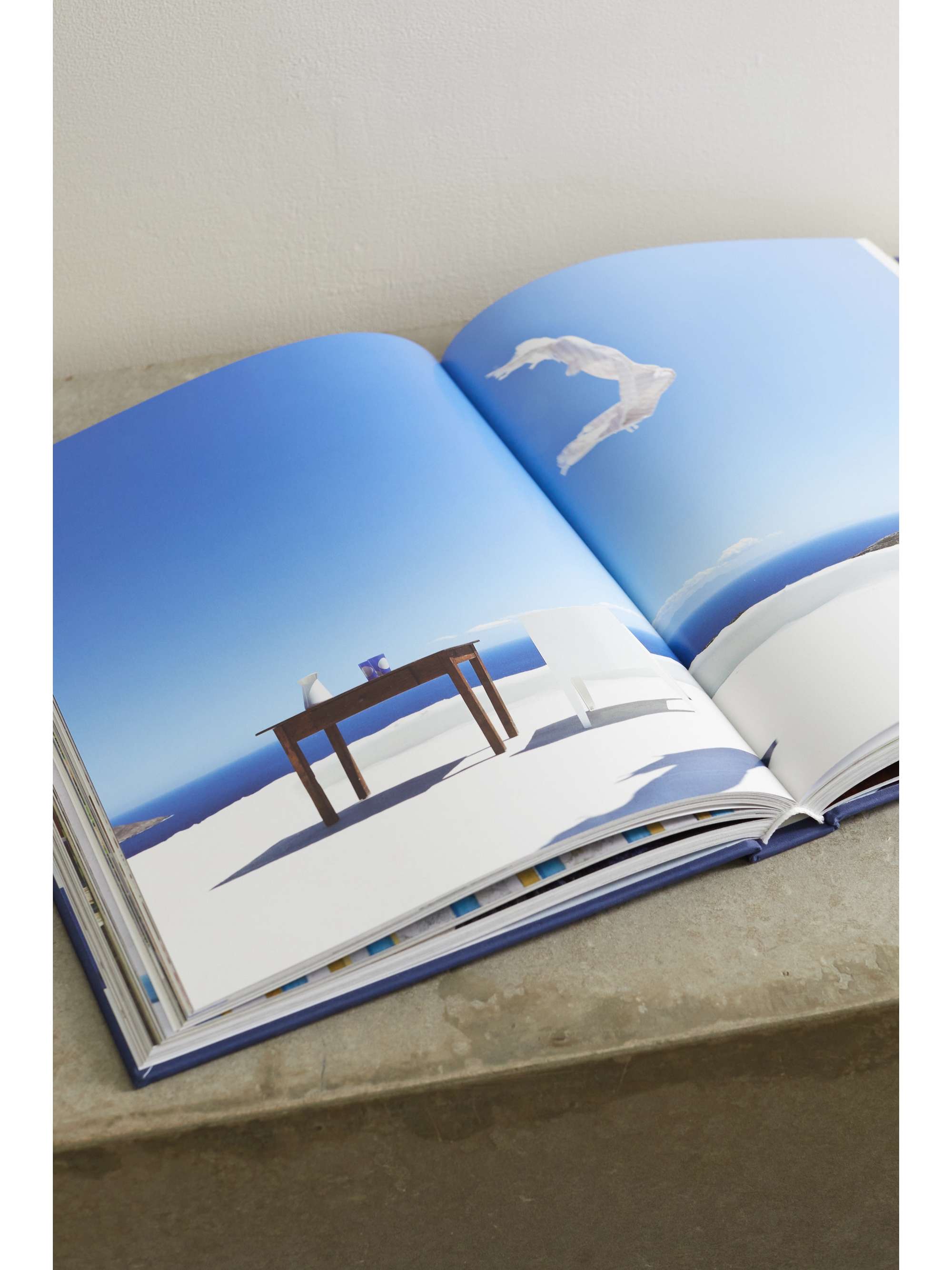 ASSOULINE Palm Beach by Aerin Lauder hardcover book