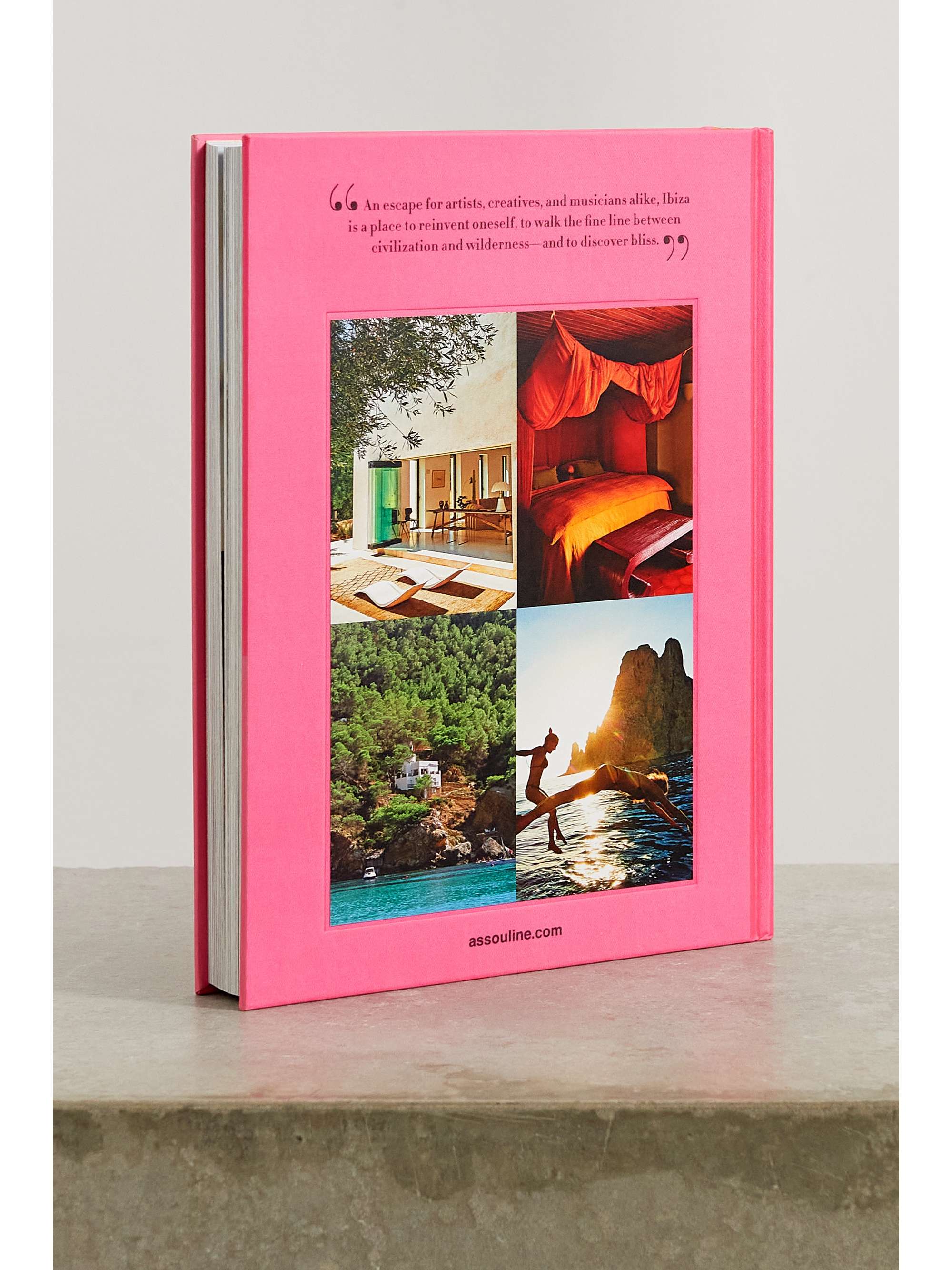 ASSOULINE Palm Beach by Aerin Lauder hardcover book