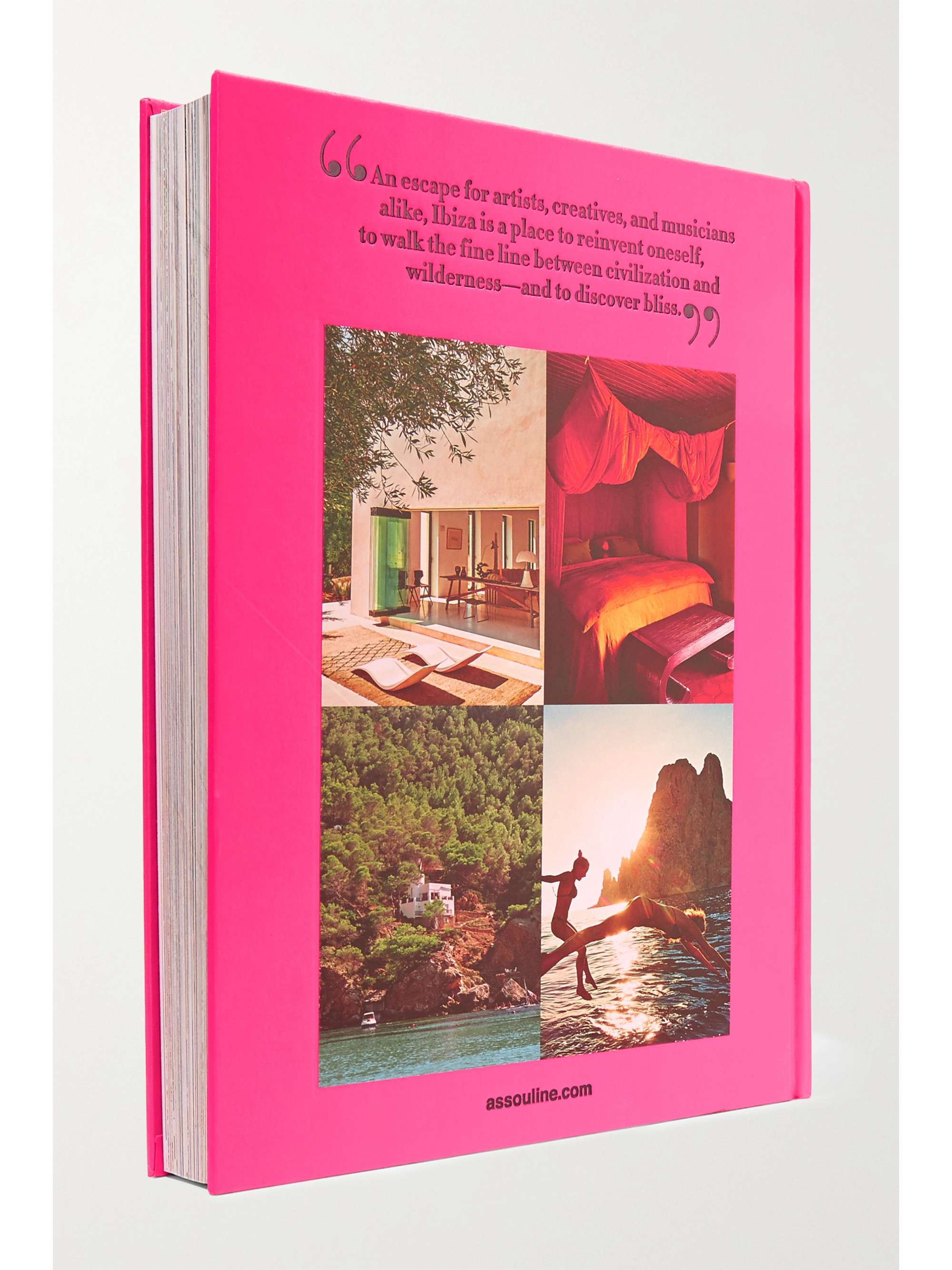ASSOULINE Palm Beach by Aerin Lauder hardcover book