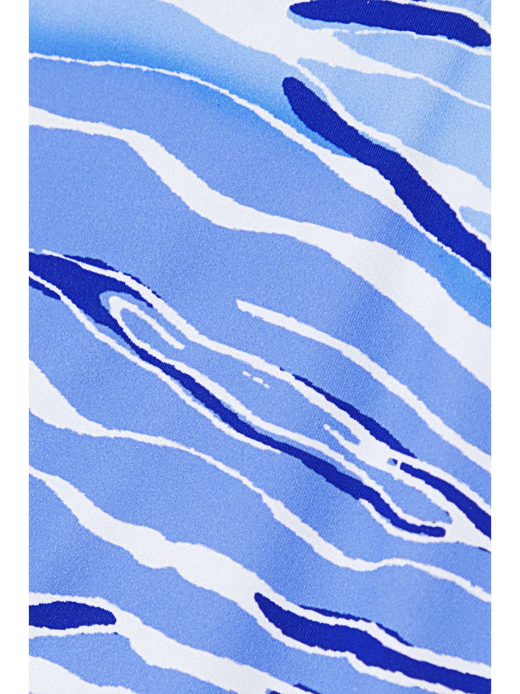FISCH + NET SUSTAIN Flamands printed bikini briefs