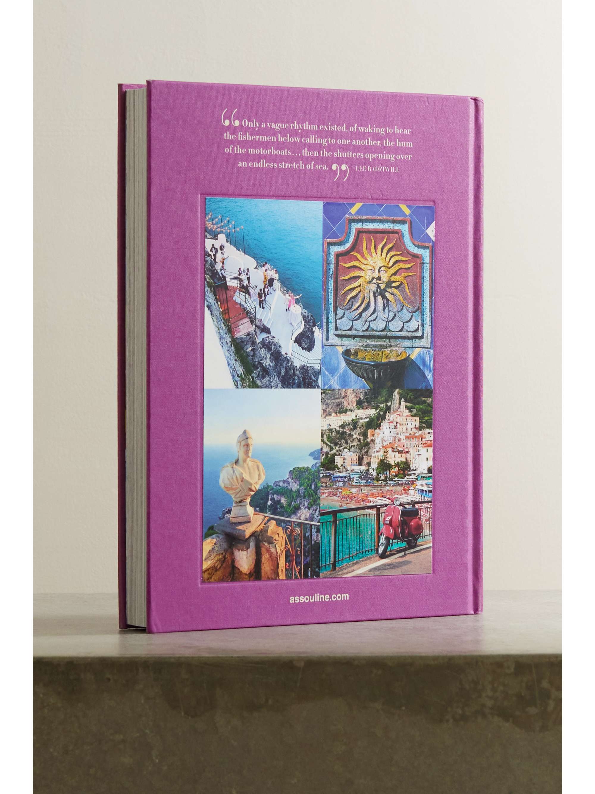 ASSOULINE Palm Beach by Aerin Lauder hardcover book