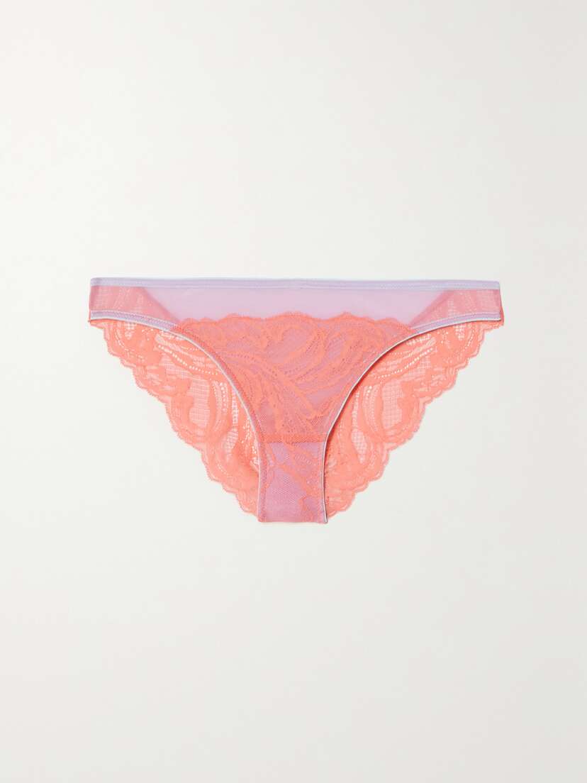 Dora Larsen Erin Lace And Tulle Briefs -  - UK 16