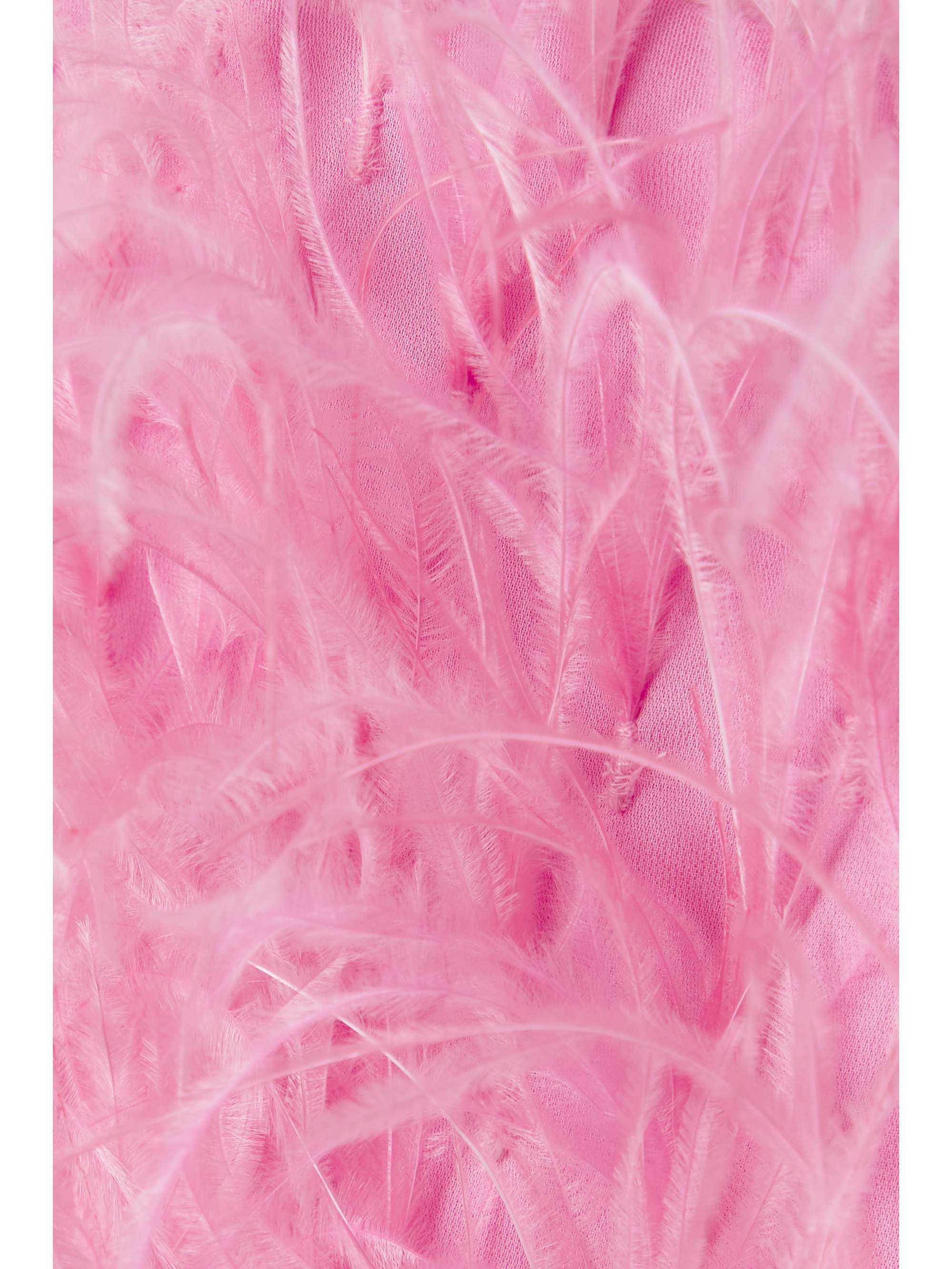 CULT GAIA Joey open-back feather and crepe de chine top