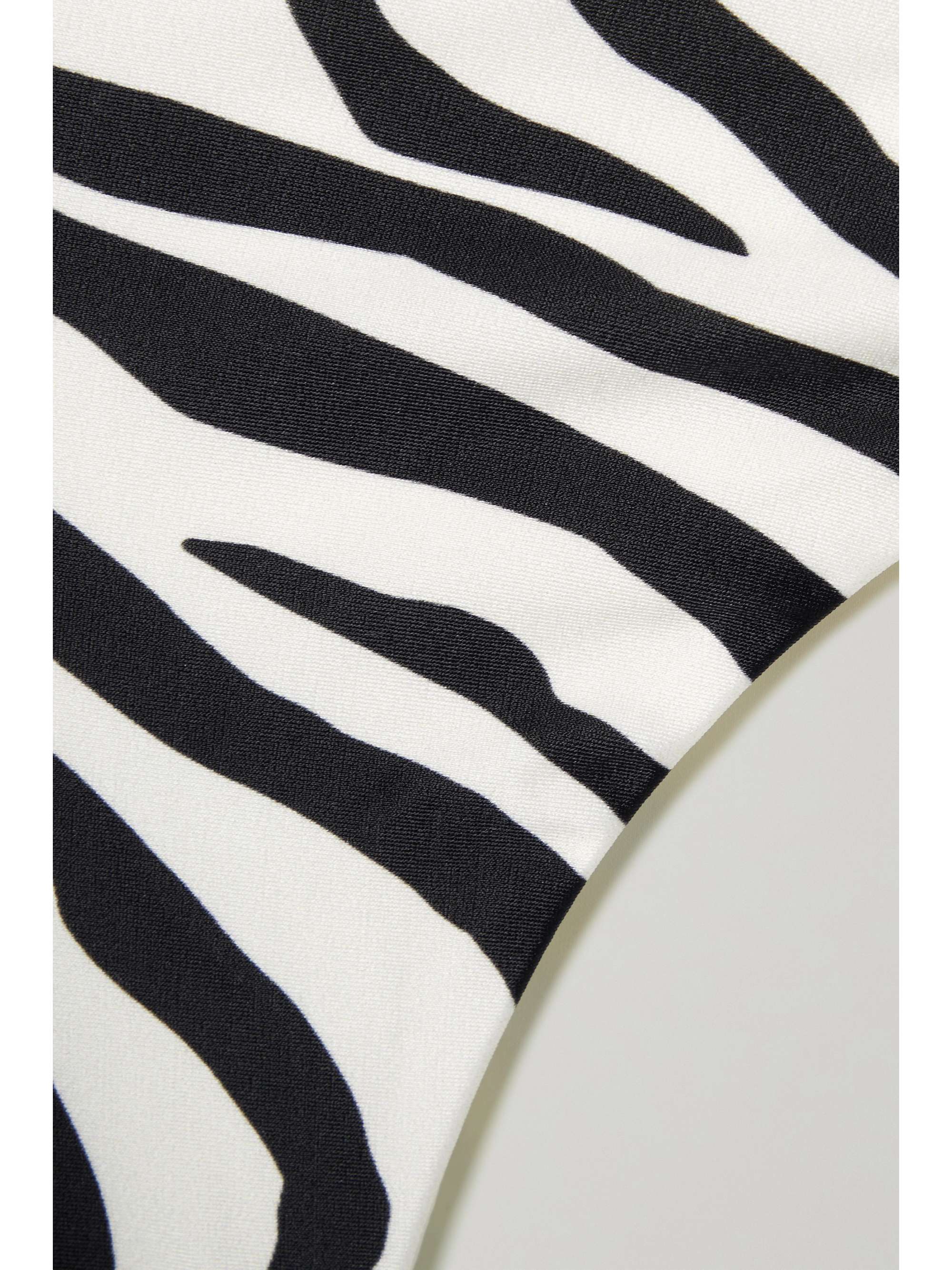 HAIGHT Beta zebra-print bikini briefs | NET-A-PORTER