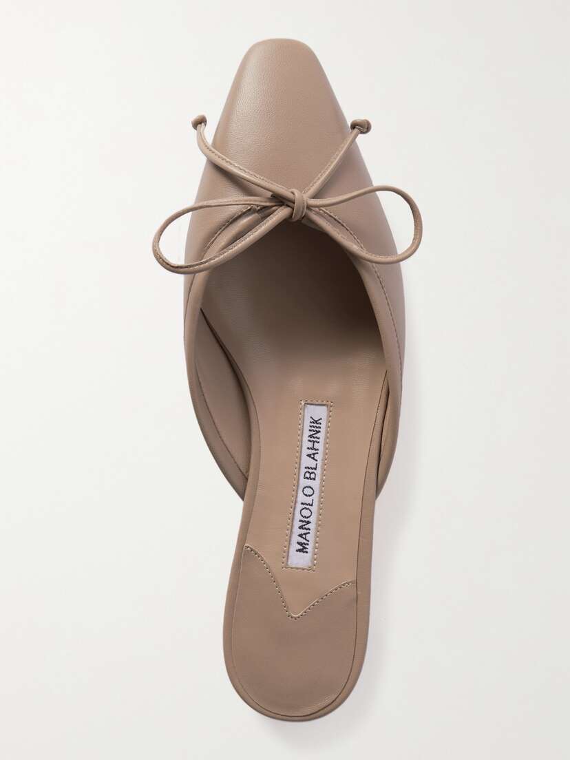 Manolo Blahnik Ballerimu Leather Point-toe Mules