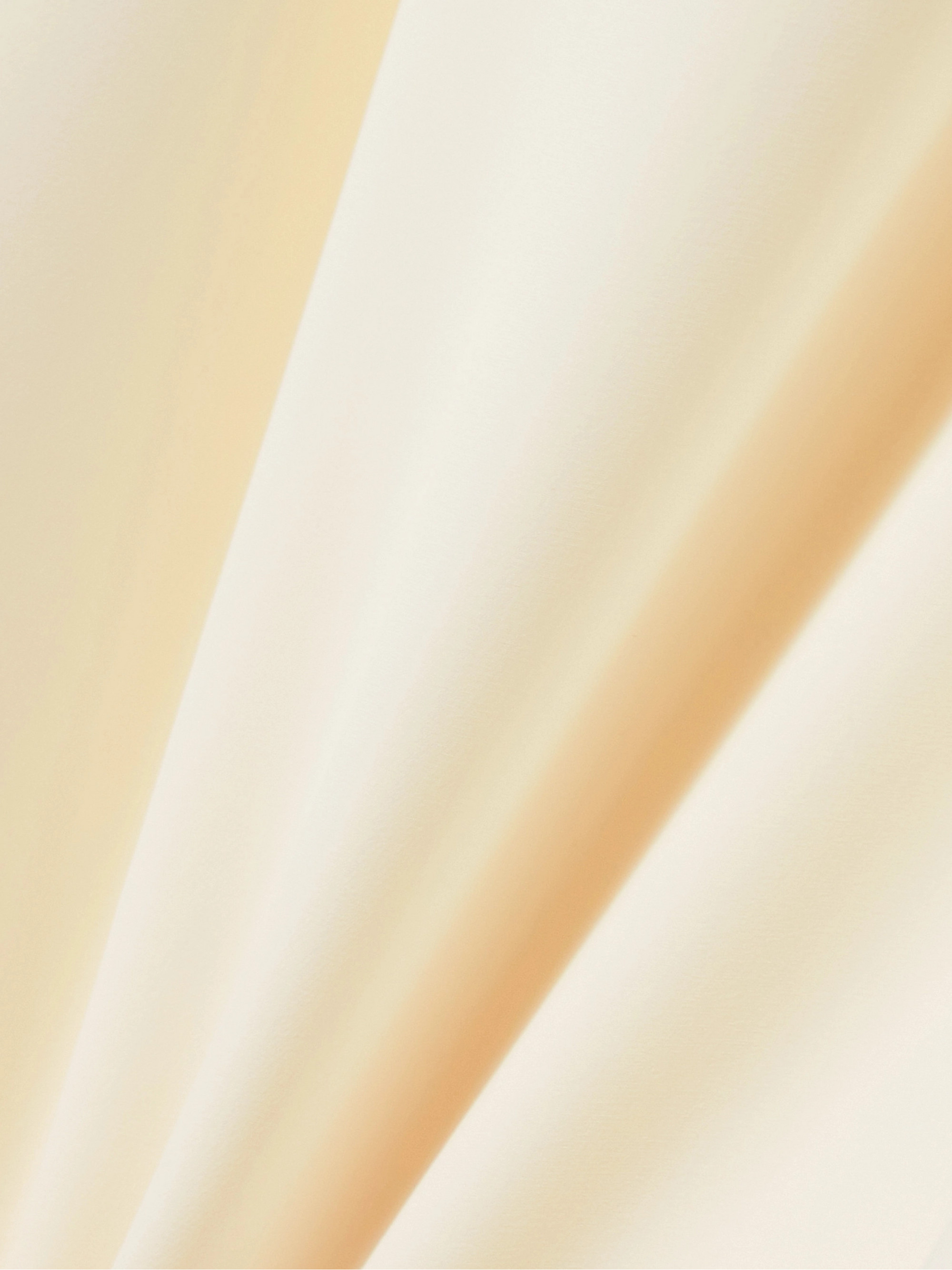 The Row Pau strapless silk crepe de chine gown