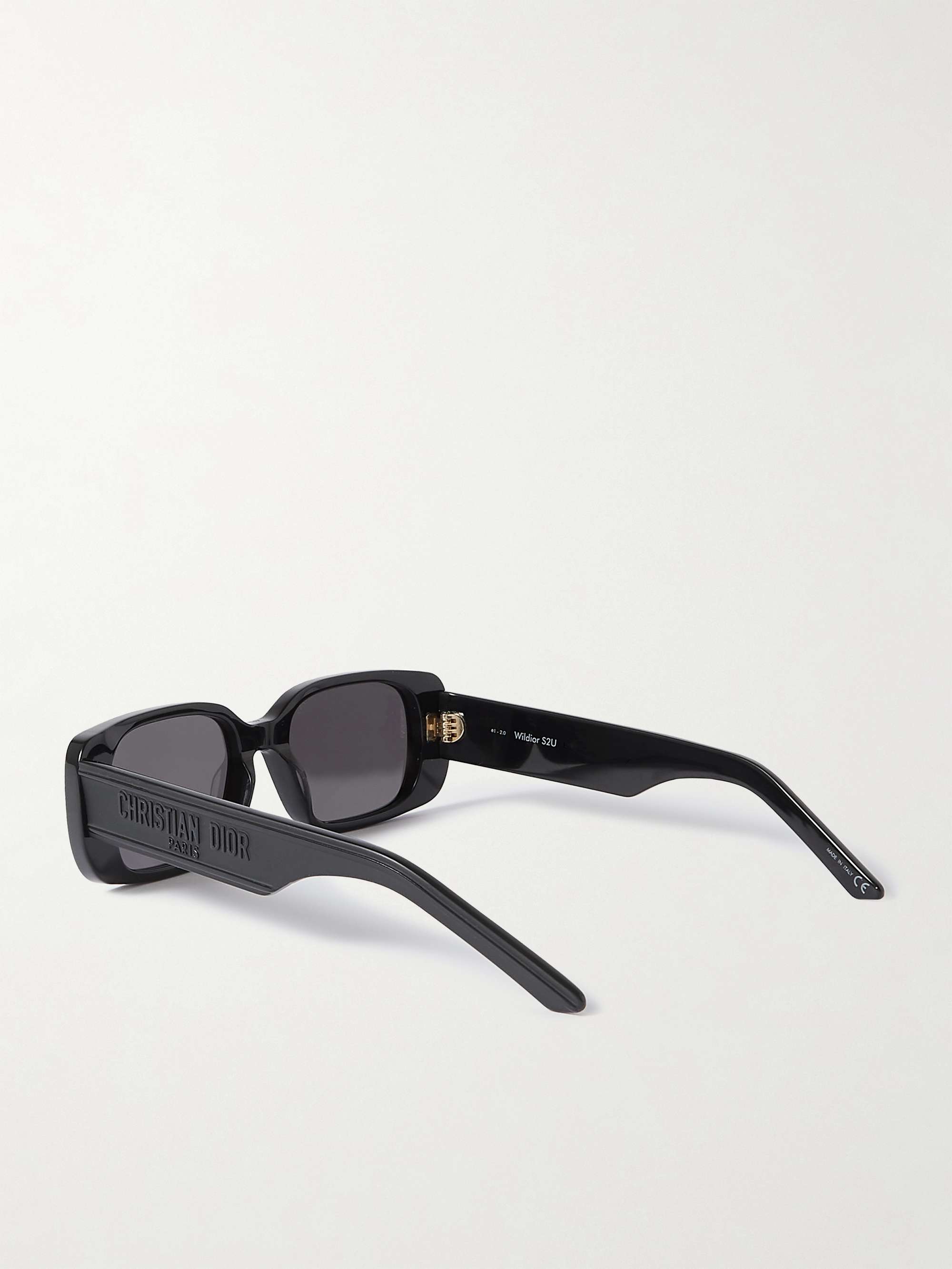 DIOR EYEWEAR Wildior S2U rectangular-frame acetate sunglasses