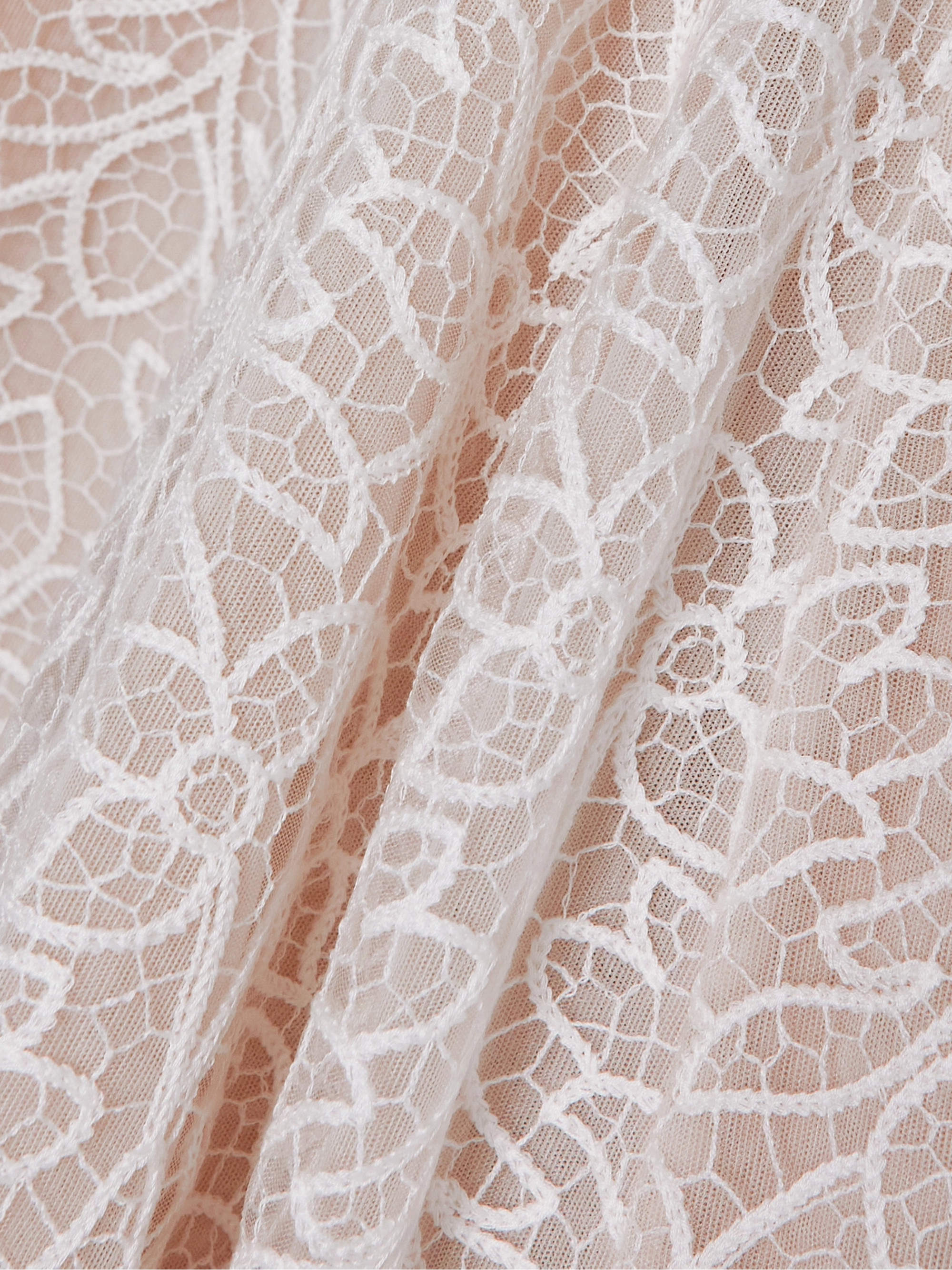 Rime Arodaky Frankie cutout embroidered tulle mini dress