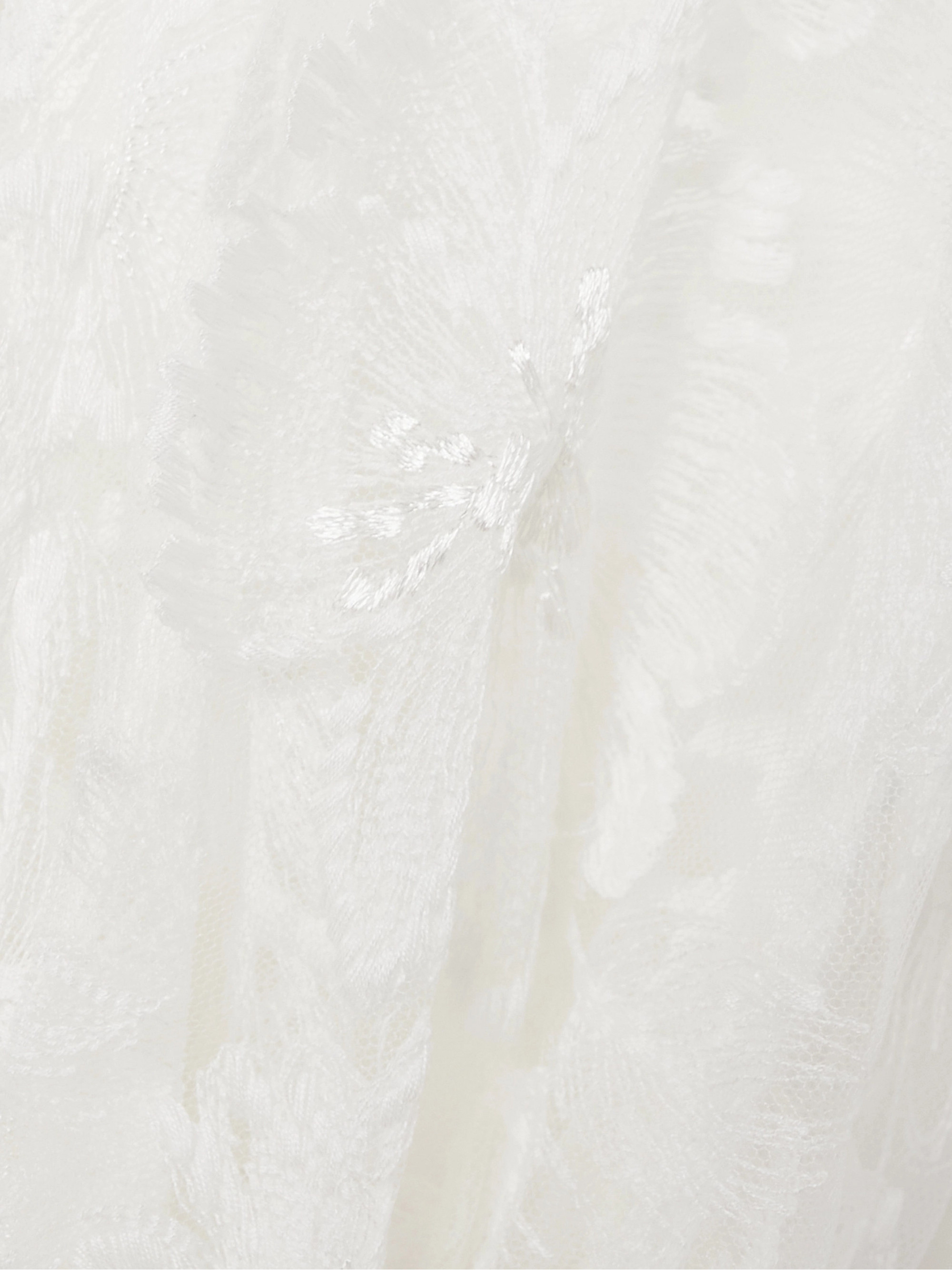 Rime Arodaky Lisa open-back embroidered tulle and crepe mini dress