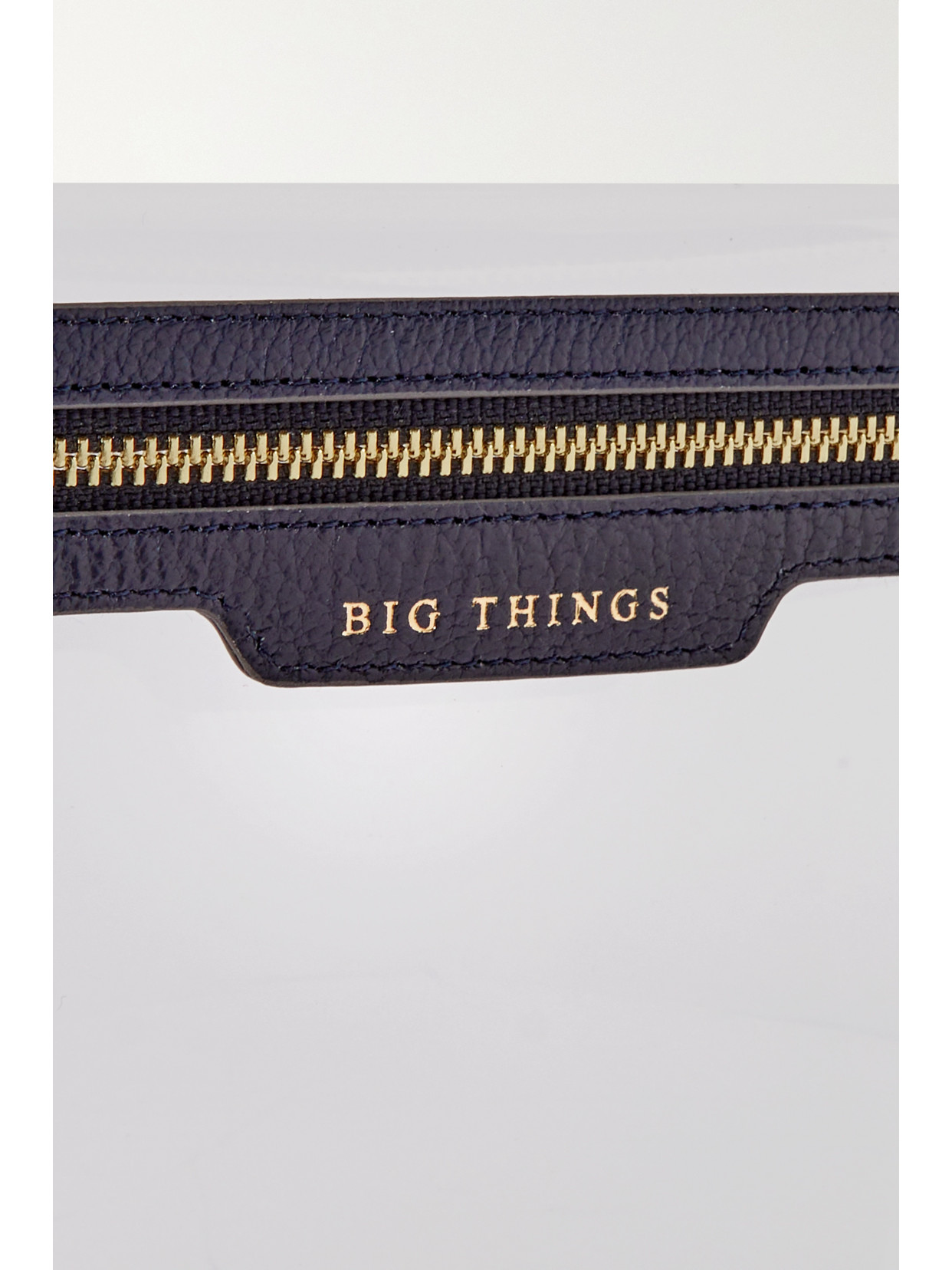 Anya Hindmarch Loose Pocket Big Things Leather-trimmed Tpu Clutch In Neutrals