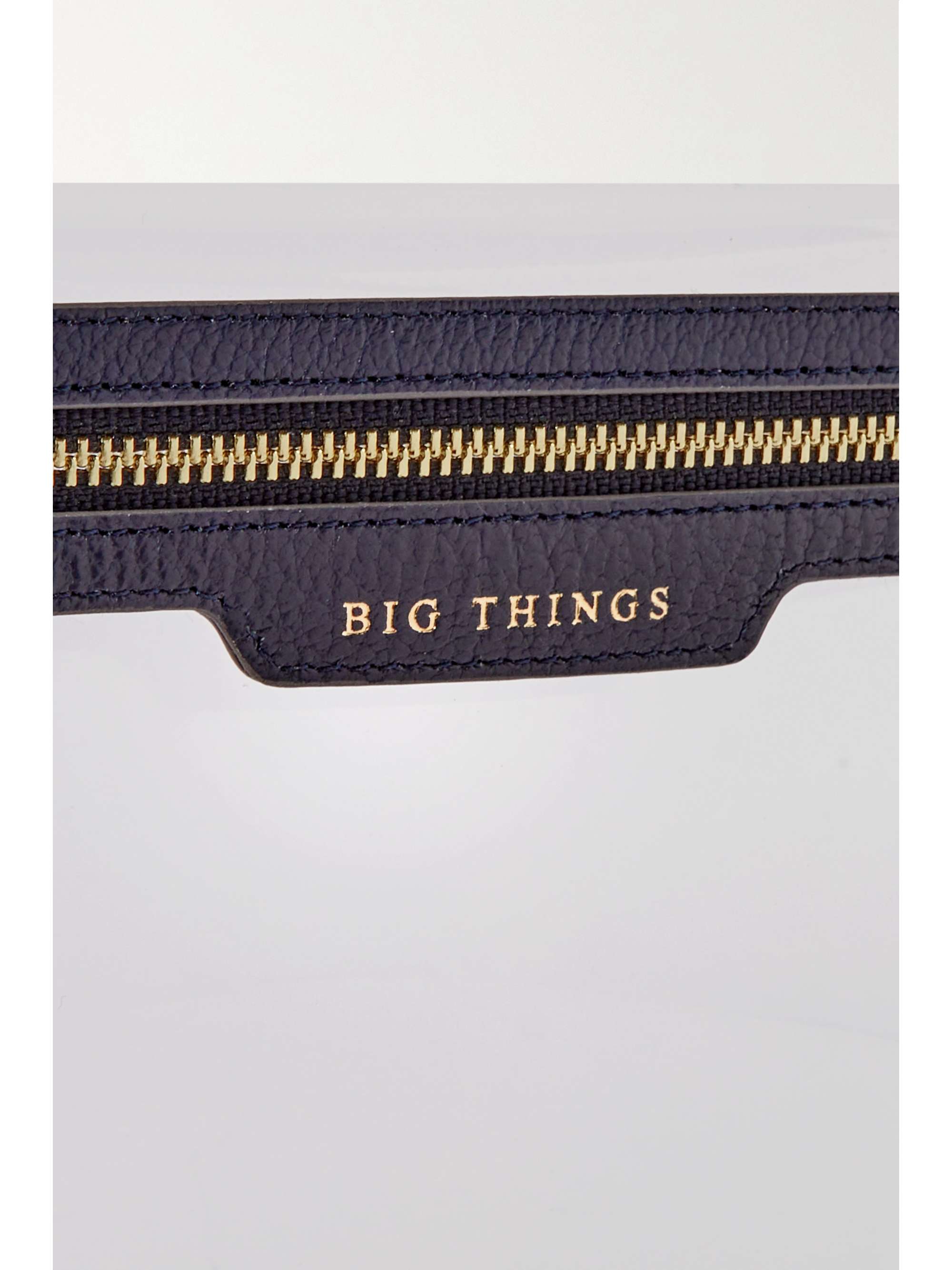 ANYA HINDMARCH Loose Pocket Little Things leather-trimmed TPU pouch