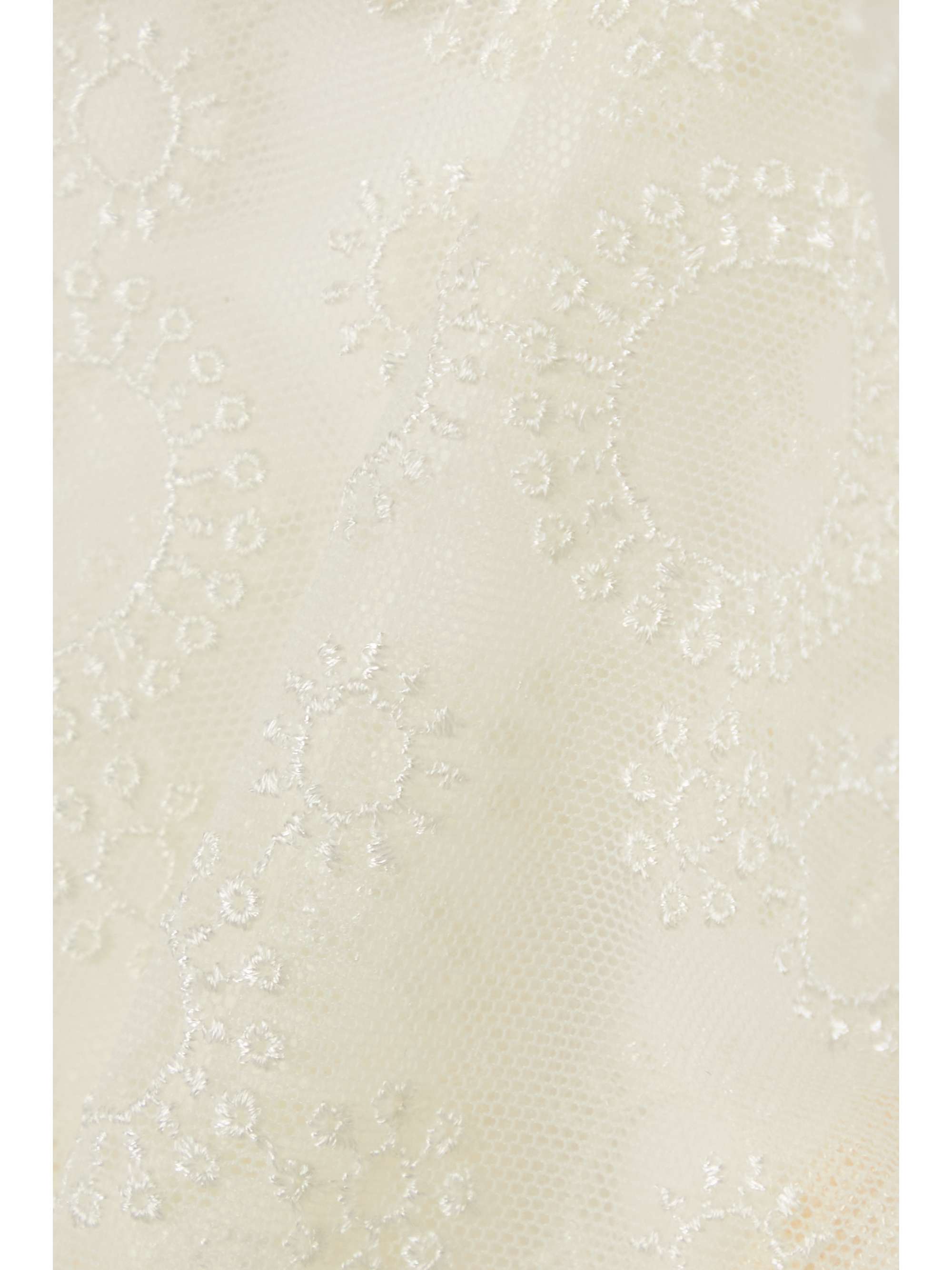 ERES Floraison embroidered tulle briefs