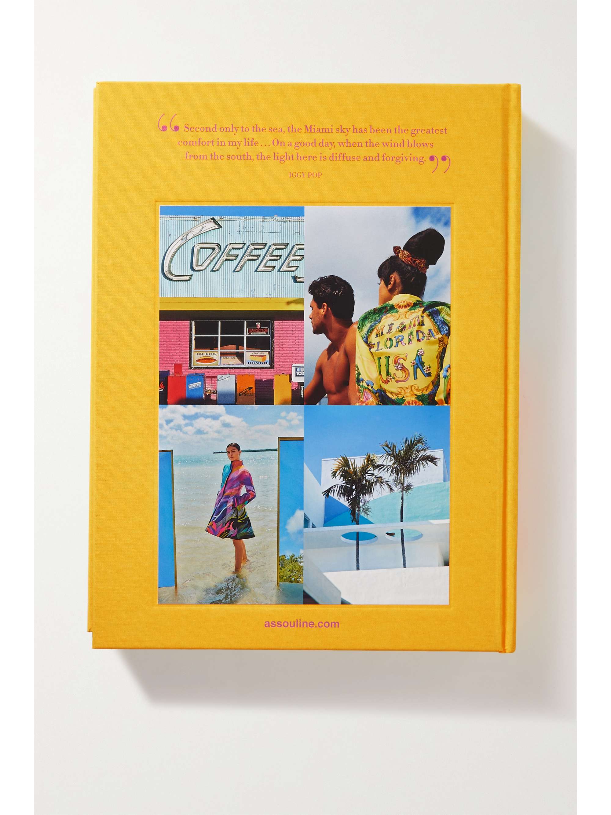 ASSOULINE Palm Beach by Aerin Lauder hardcover book