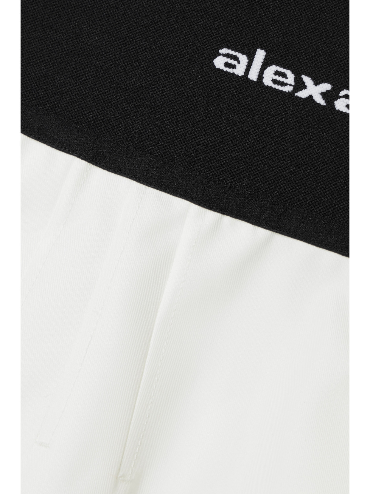 ALEXANDER WANG photo
