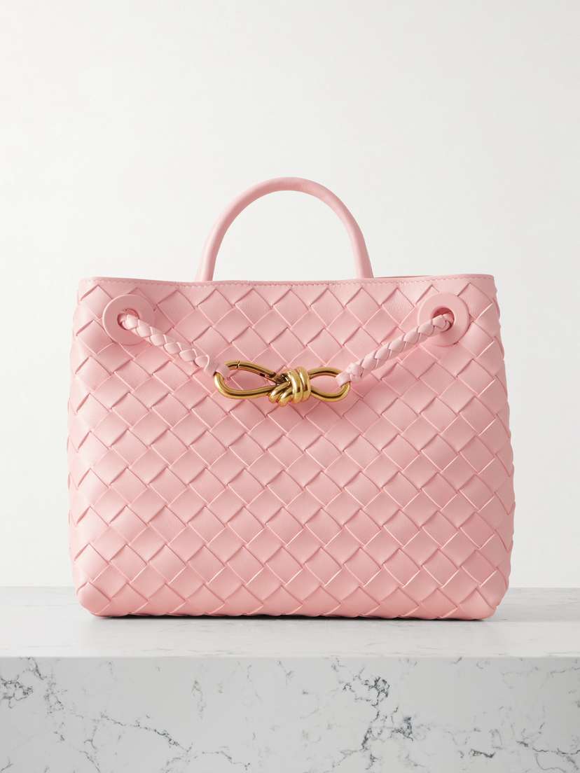 Bottega Veneta Andiamo Small Intrecciato Leather Tote