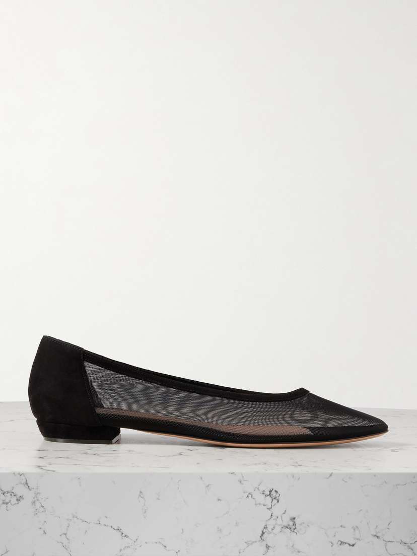 Gianvito Rossi Suede-trimmed Mesh Point-toe Flats
