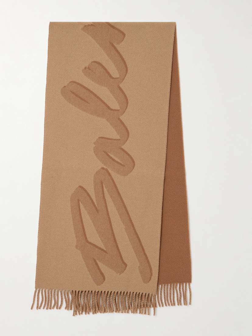 Balenciaga Fringed Printed Wool And Cashmere-blend Scarf