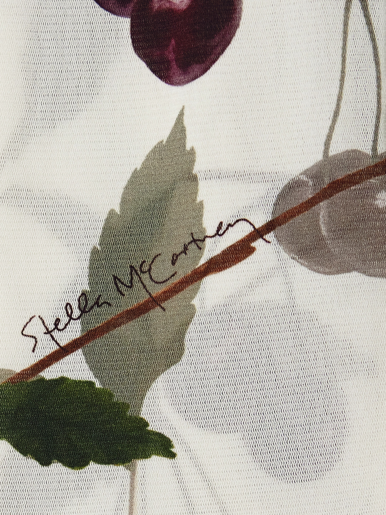 Stella Mccartney Cherry Print Mesh Long Sleeve Top In Multi