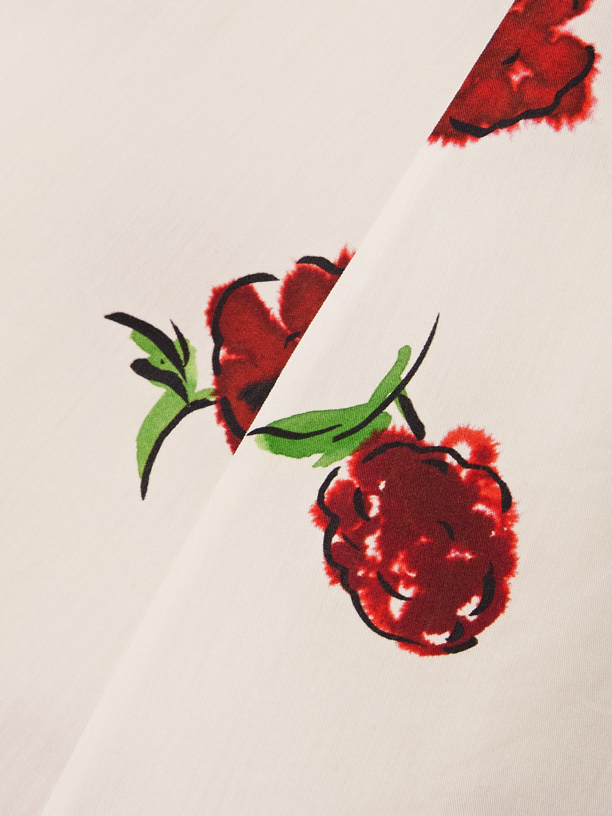 Khaite Isabella Printed Cotton-poplin Midi Dress