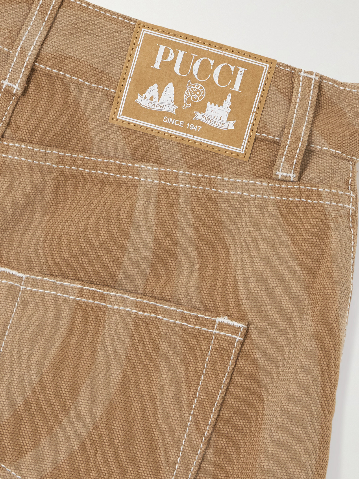 Pucci Printed Cotton-canvas Shorts
