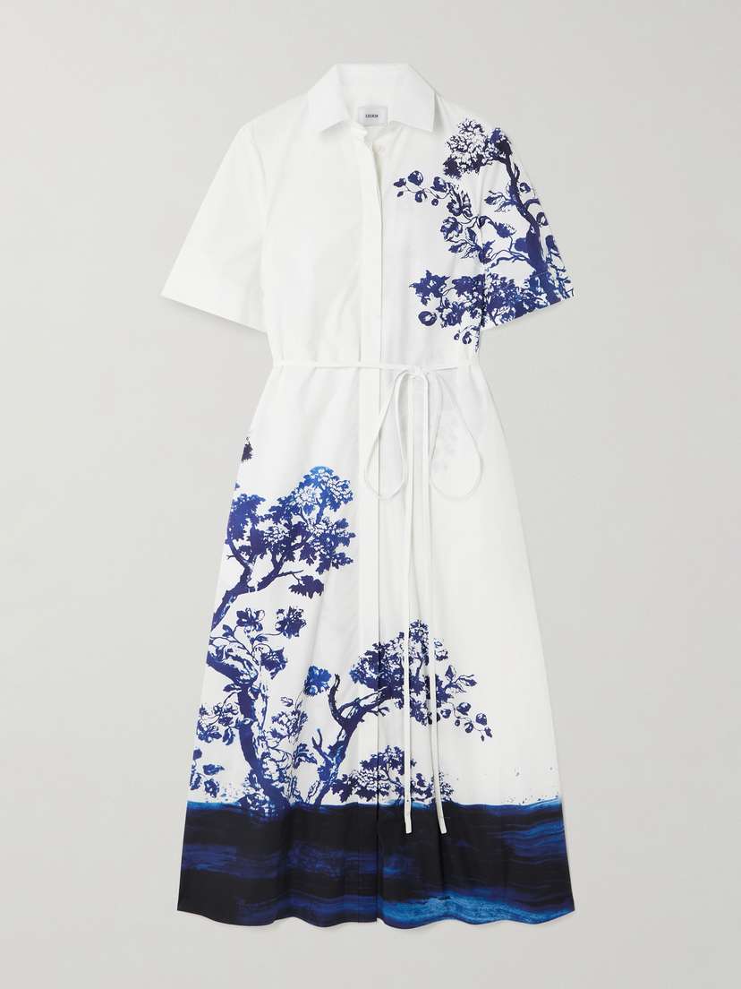 Erdem Printed Organic Cotton-poplin Shirt Dress