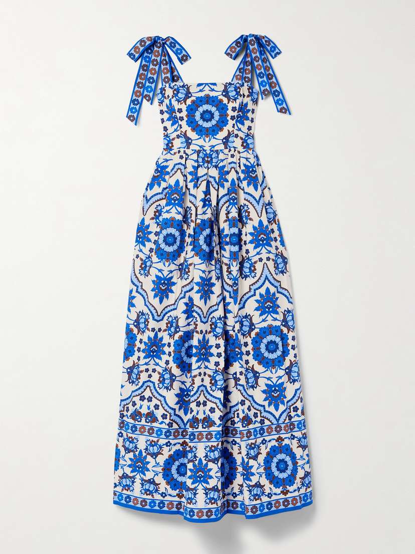 Cara Cara Tula Pleated Printed Cotton-poplin Maxi Dress