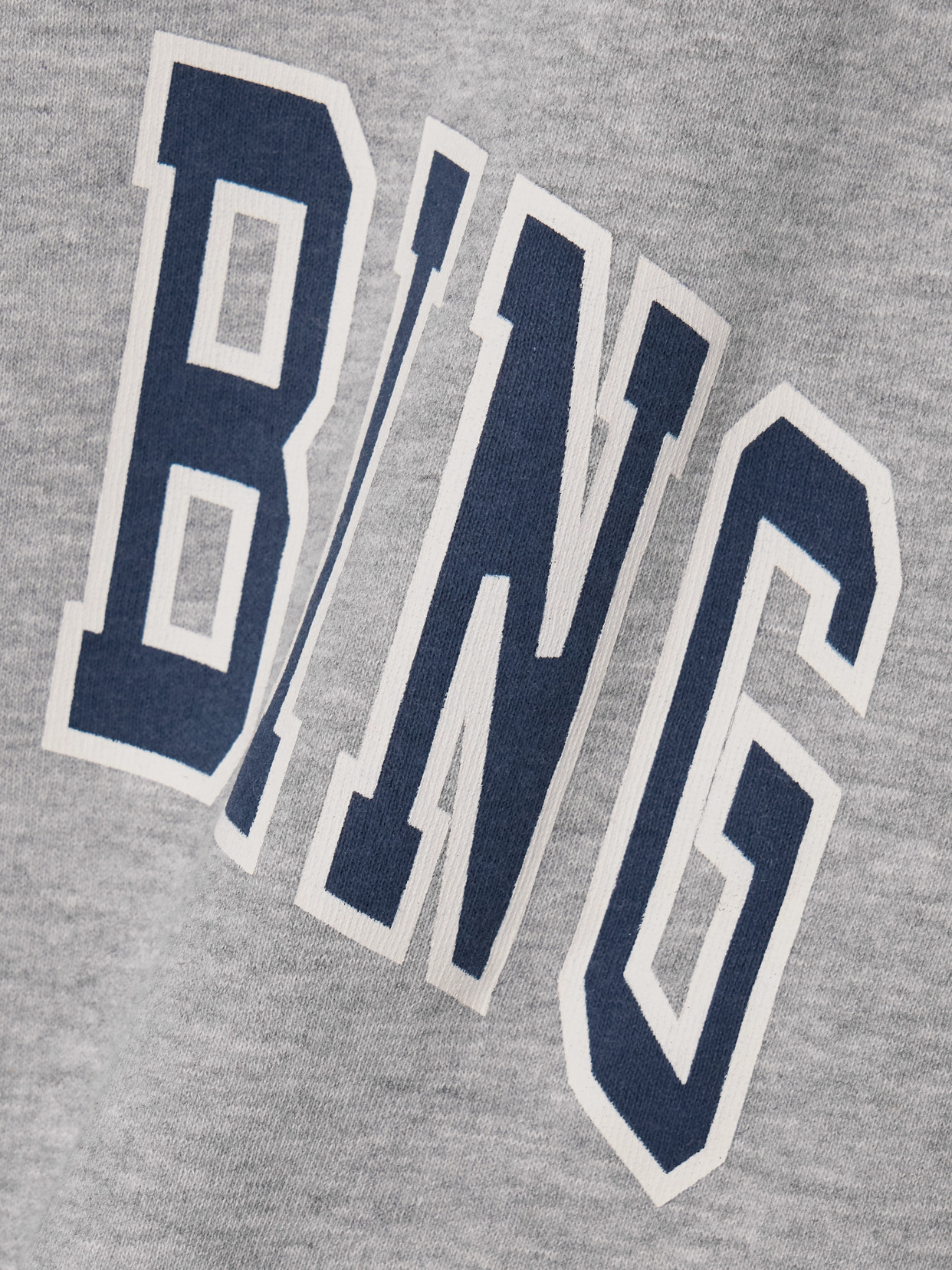 Anine Bing Spencer Printed Cotton-blend Jersey Sweatshirt In Gray