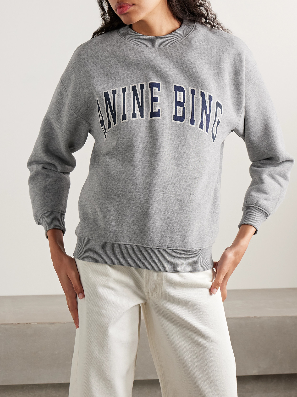 Anine Bing Spencer Printed Cotton-blend Jersey Sweatshirt In Gray