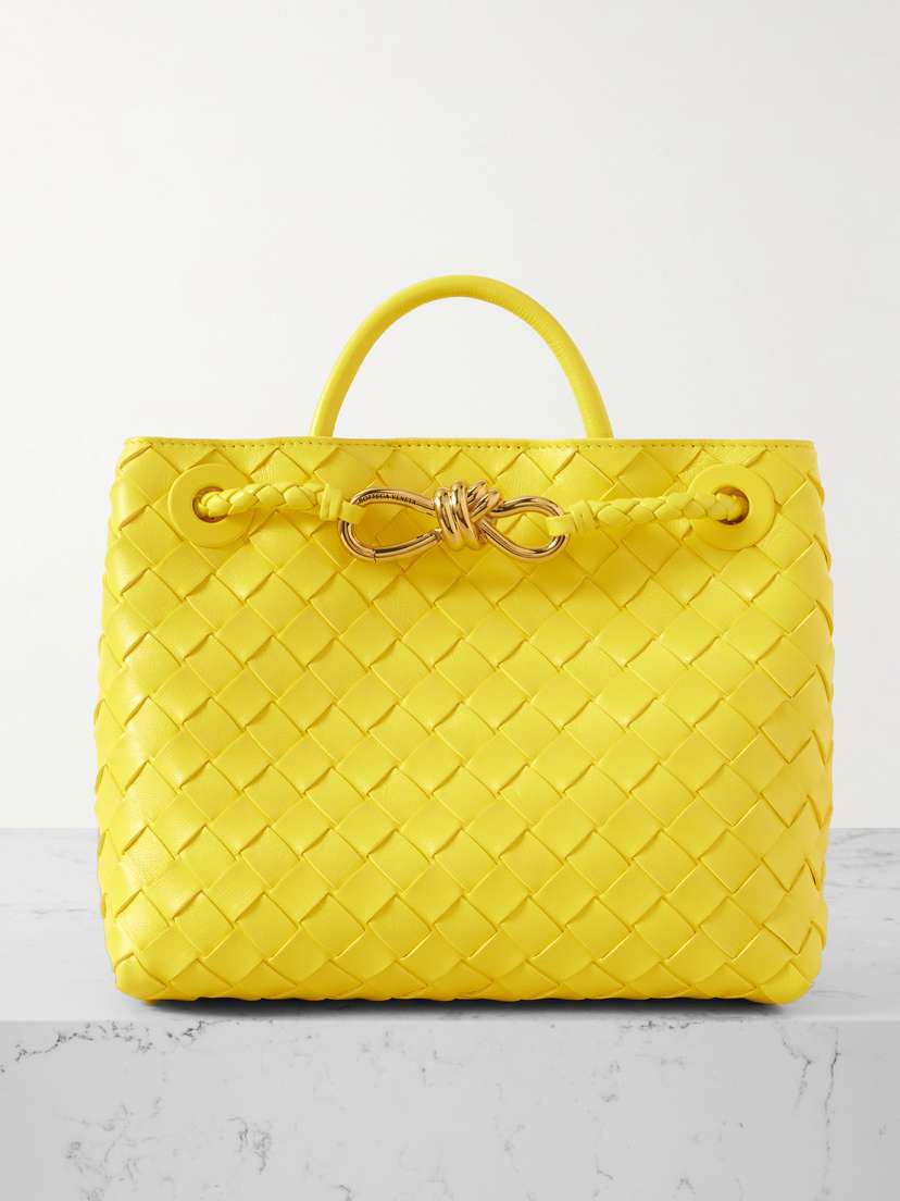 Bottega Veneta Andiamo Small Intrecciato Leather Tote