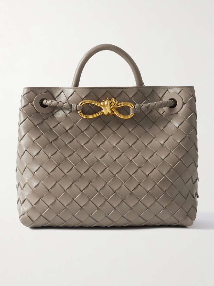 Bottega Veneta Andiamo Small Intrecciato Leather Tote