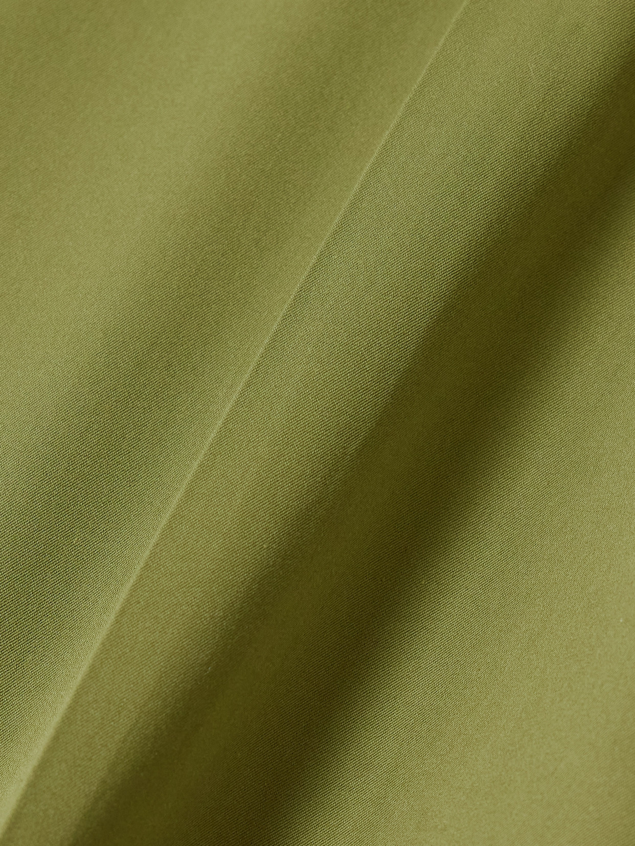 Loewe Pleated Cotton And Silk-blend Sateen Shorts In Green