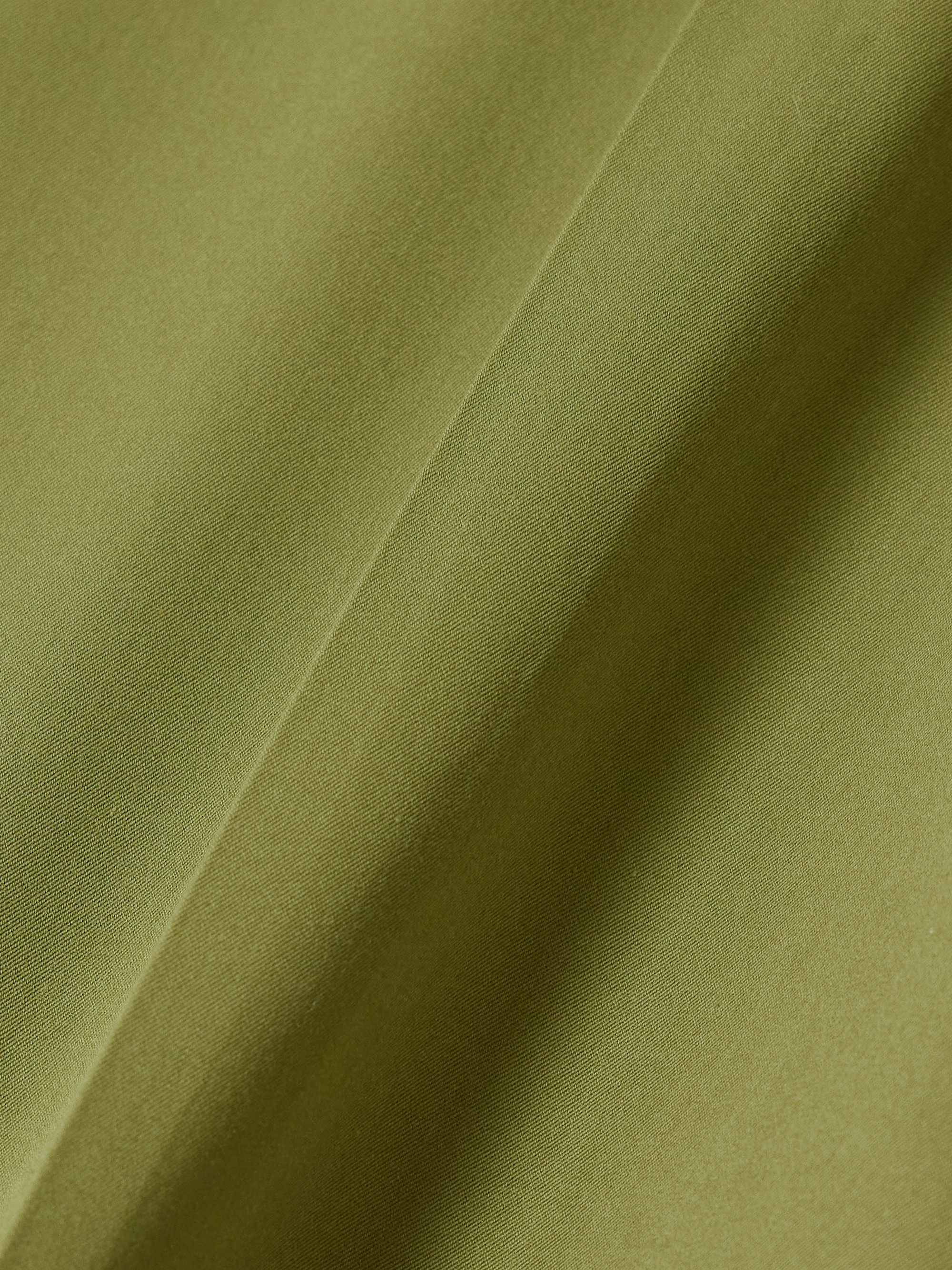 Loewe Pleated cotton and silk-blend sateen shorts thumbnail