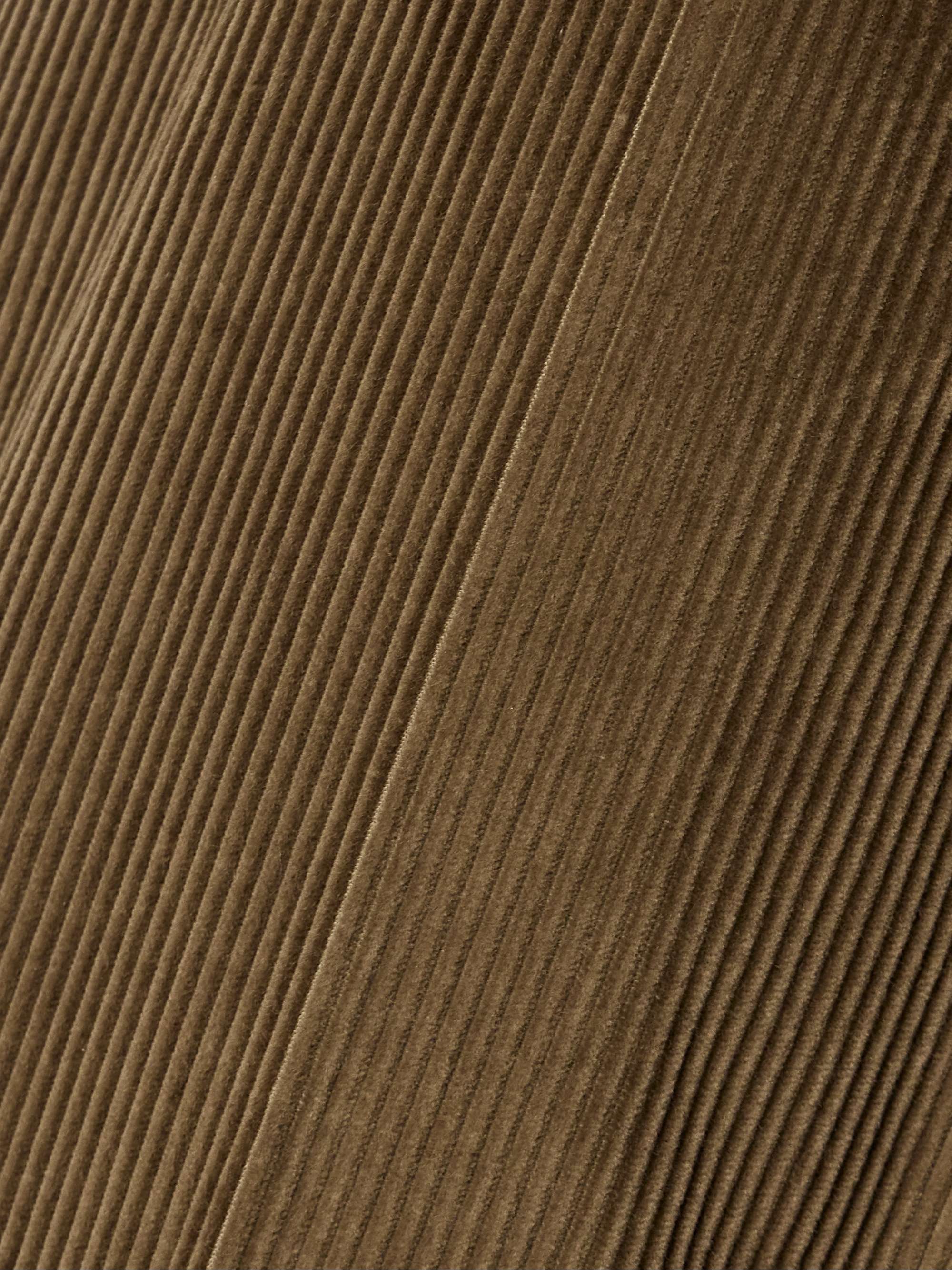 VERONICA DE PIANTE 