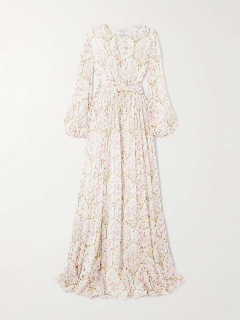 Giambattista Valli Belted Floral-print Silk-georgette Gown