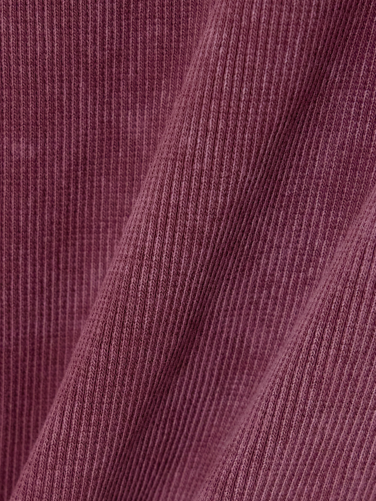 Magda Butrym Cropped Knotted Ribbed Cotton-blend Jersey T-shirt