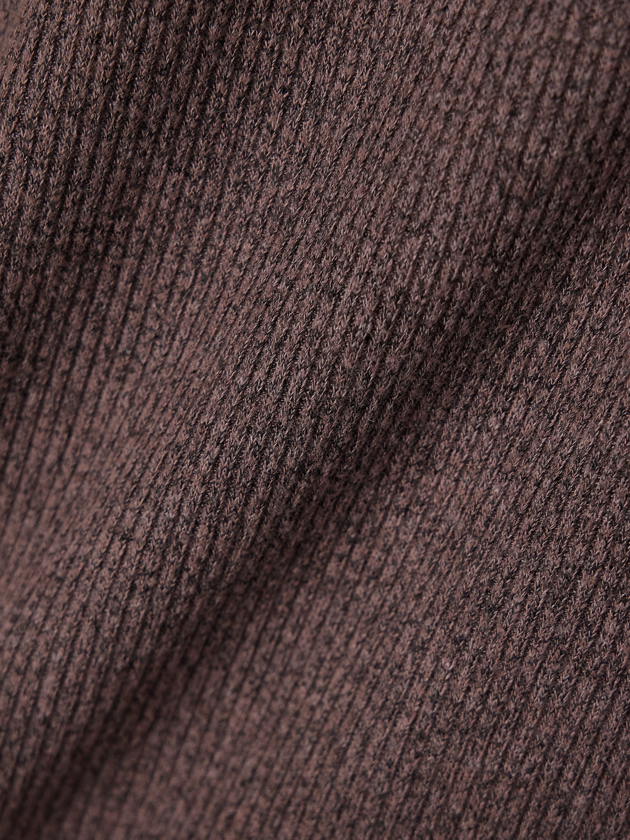 Agolde Delphi Slim Fit Ribbed T-shirt In Brown
