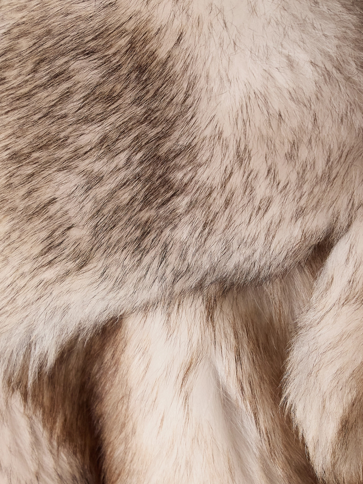 Khaite Stallone Cropped Shearling Jacket In Brown
