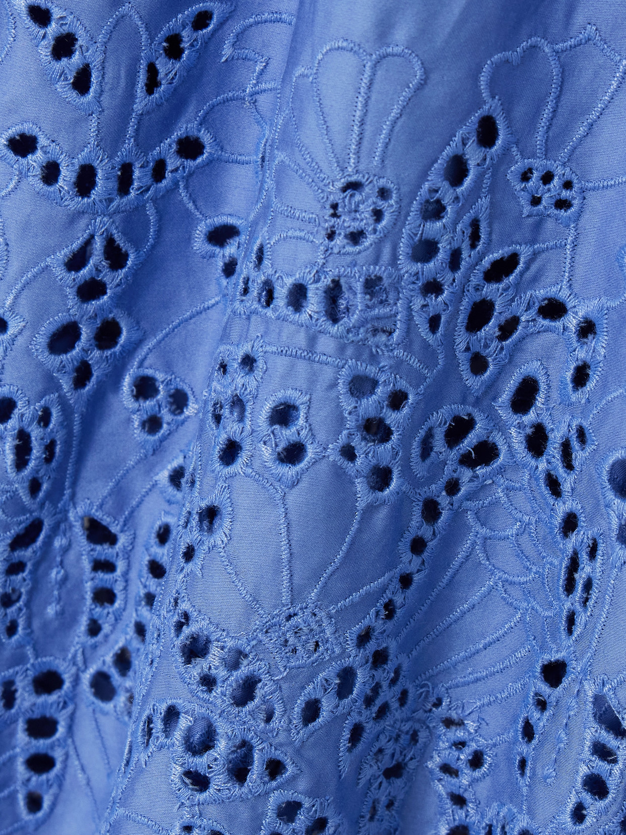 Thierry Colson Wynona Pleated Broderie Anglaise Cotton-poplin Midi Skirt In Blue