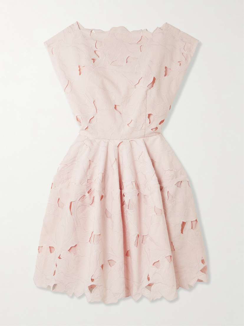 Erdem Cutout Embroidered Poplin Mini Dress