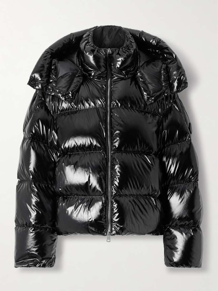 Moncler Genius Lothar Hooded Quilted Shell Down Jacket