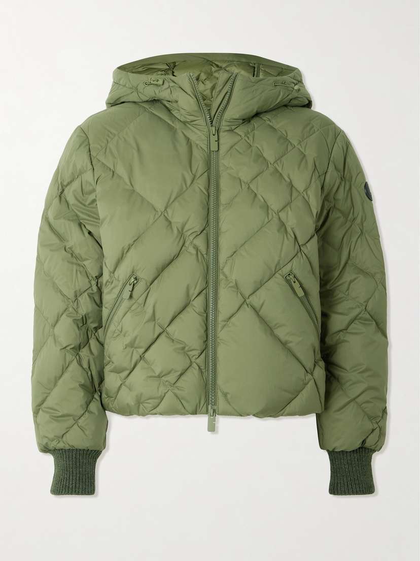 Burberry Hooded Appliquéd Leather-trimmed Padded Quilted Shell Down Jacket
