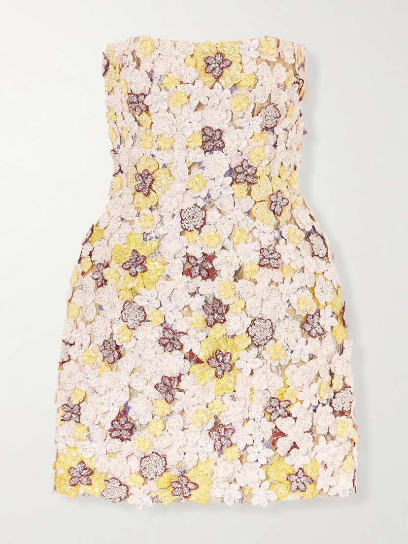 Costarellos Sierra Appliquéd Embroidered Tulle Mini Dress