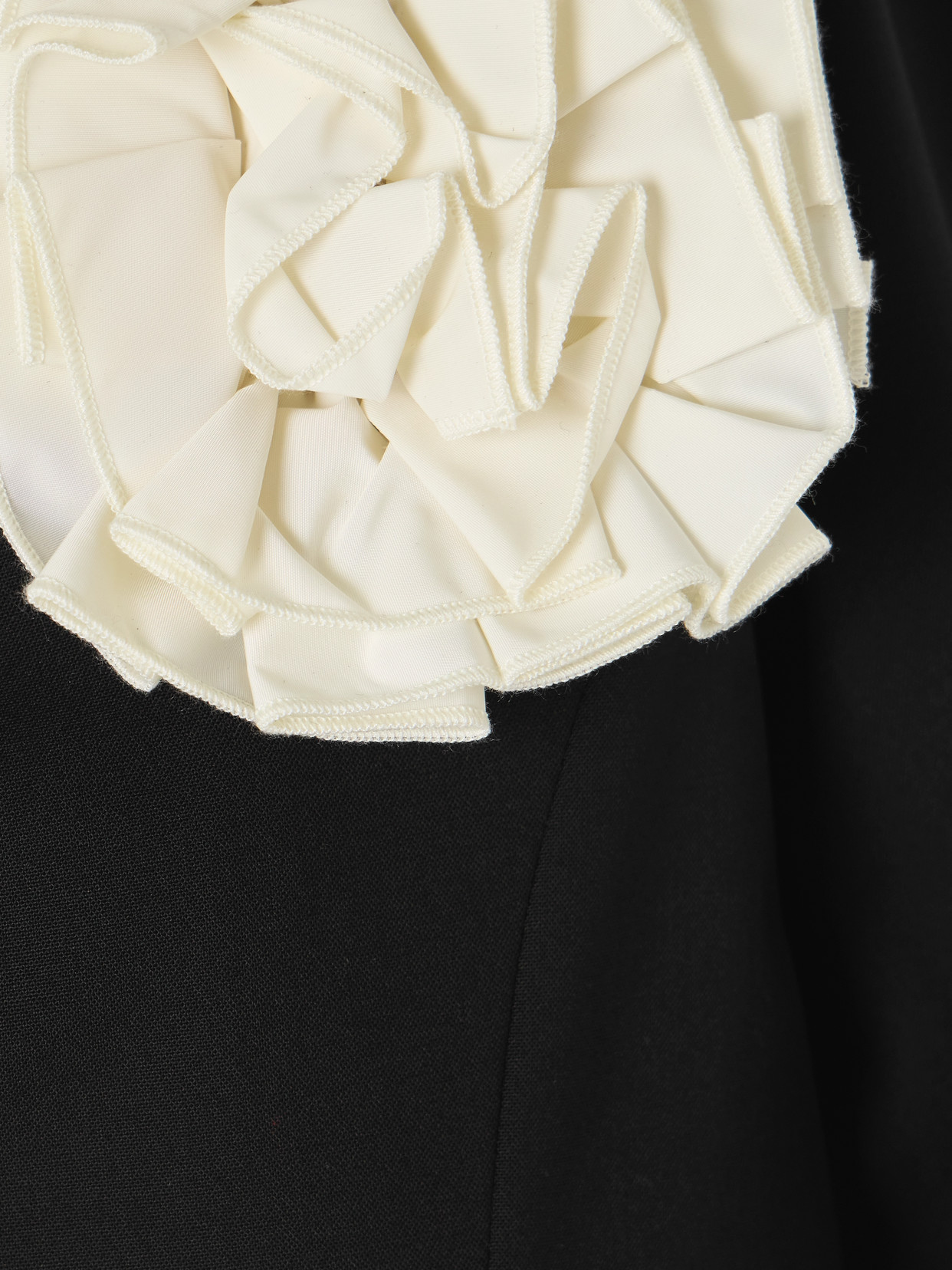 Sea Appliquéd Crepe Blazer In Black