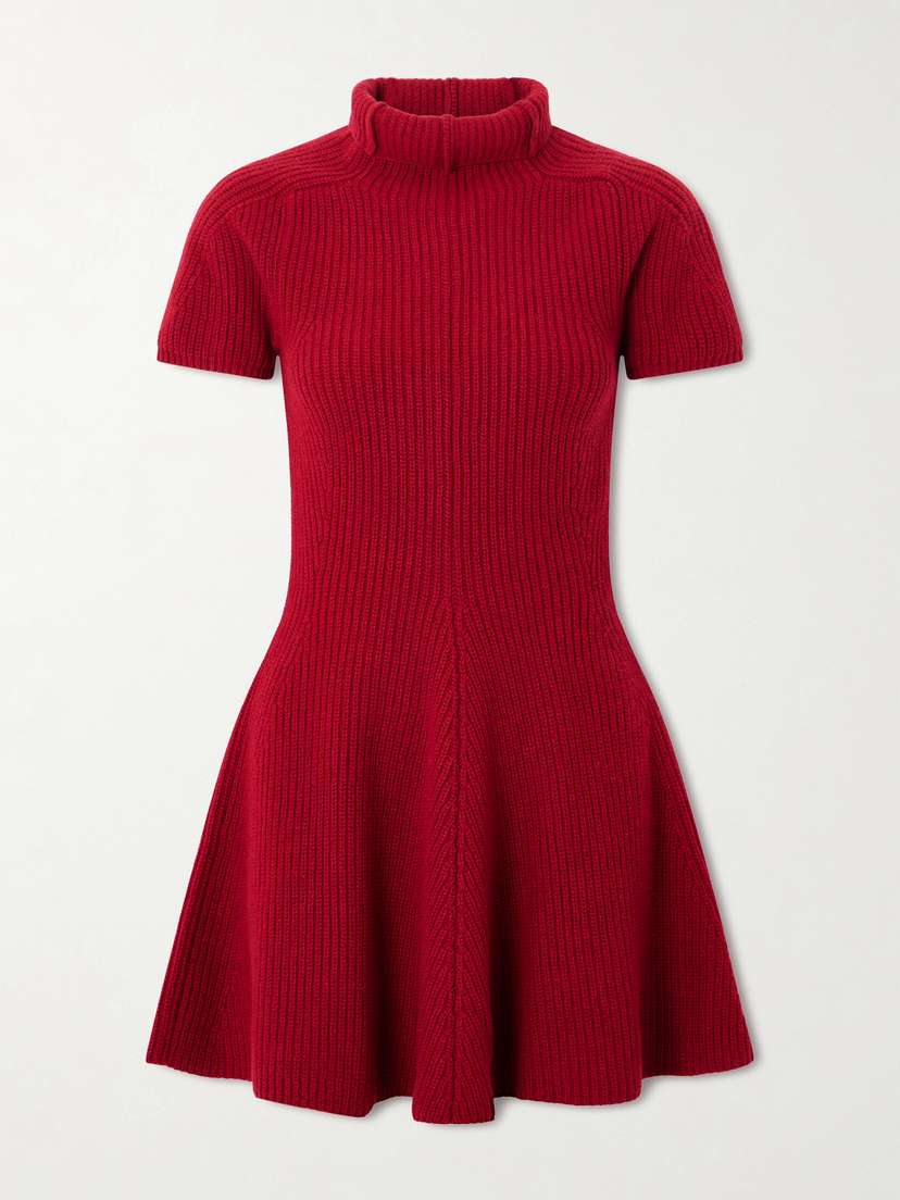 Magda Butrym Ribbed Cashmere Turtleneck Mini Dress