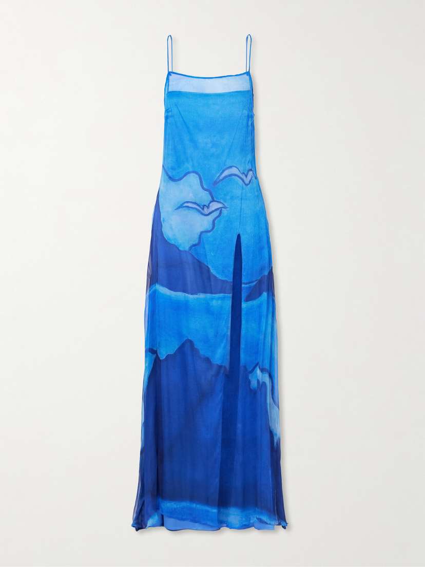 Donde Esteban Es Vedra Printed Crinkled Silk-chiffon Maxi Dress