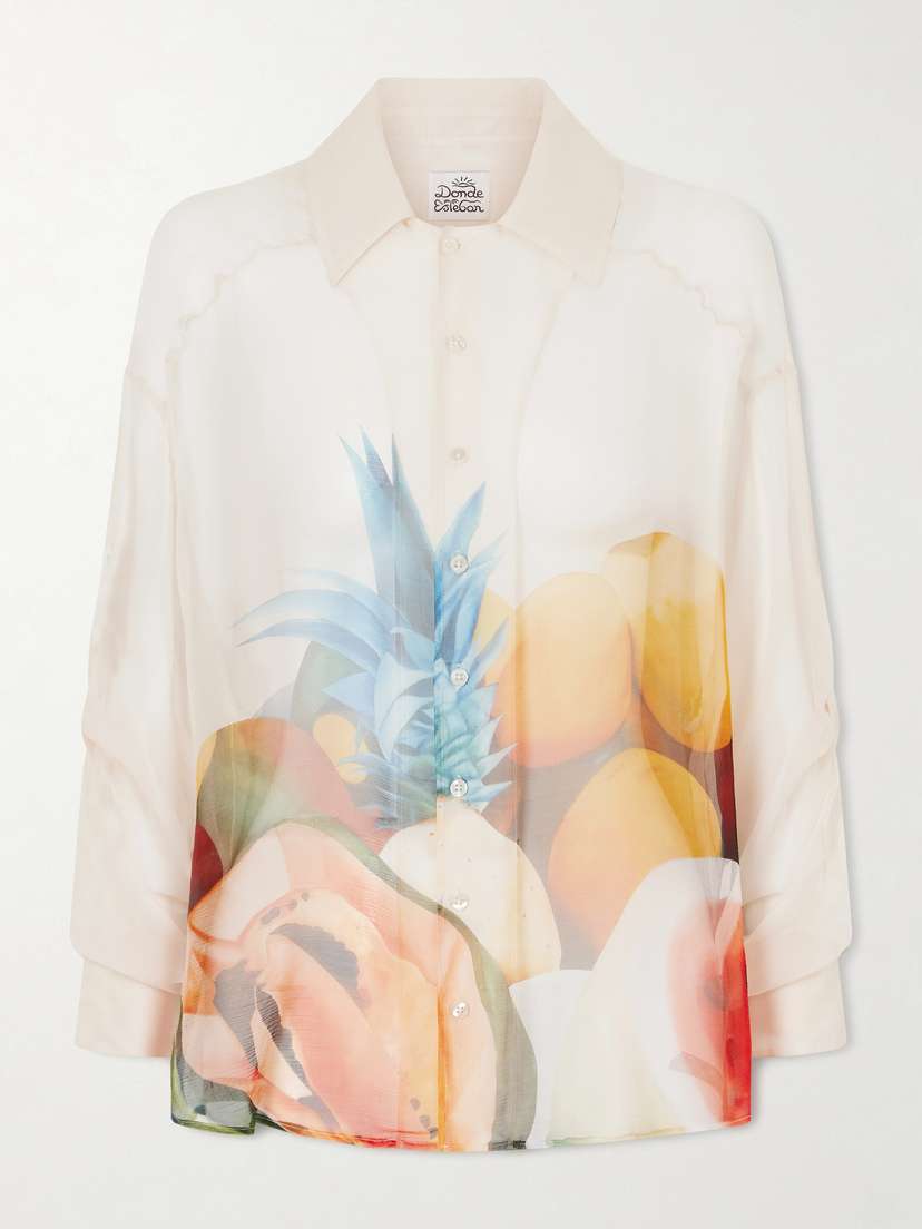 Donde Esteban Salpicon Printed Silk-chiffon Shirt