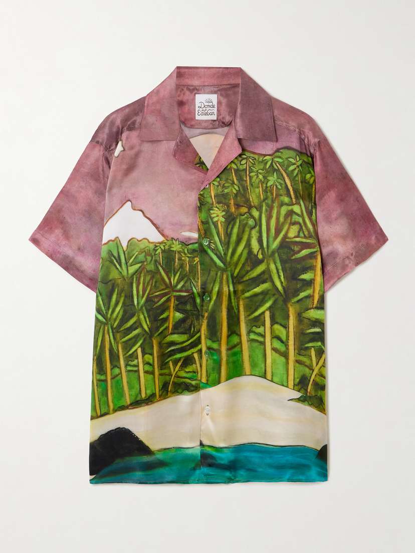 Donde Esteban La Sierra Printed Silk-satin Shirt