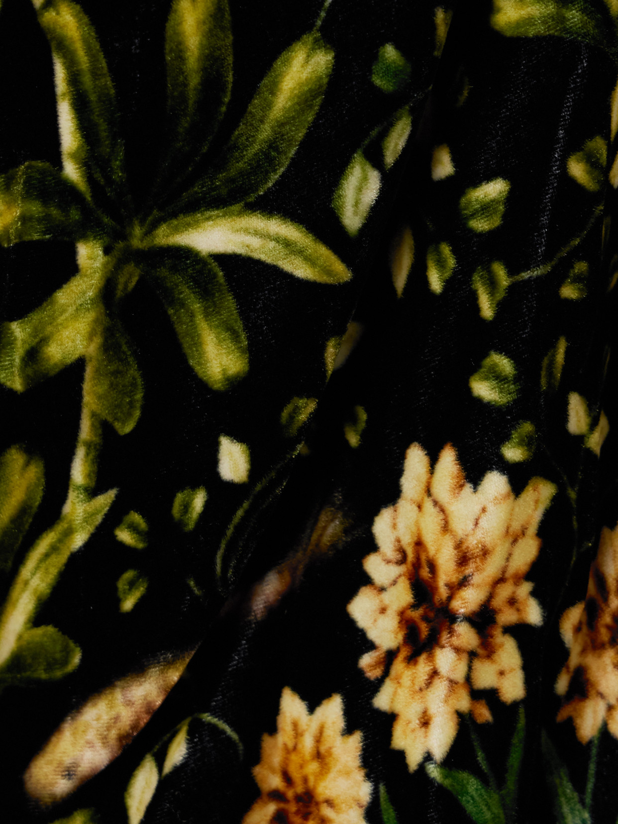 Agua By Agua Bendita Alamo Paramo Cutout Floral-print Velvet Maxi Dress In Black